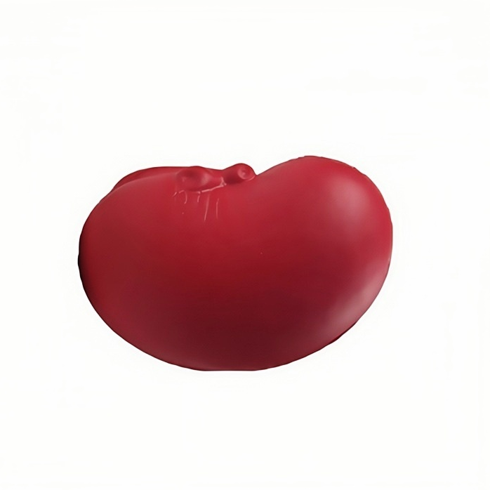 Kidney Stress Ball